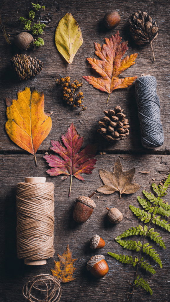 A collection of natural DIY materials for cheap autumn wall decor ideas, including pressed leaves, pinecones, and twine on a wooden table.